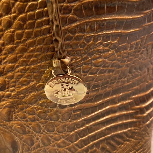 Brahmin - Picture 2 of 9